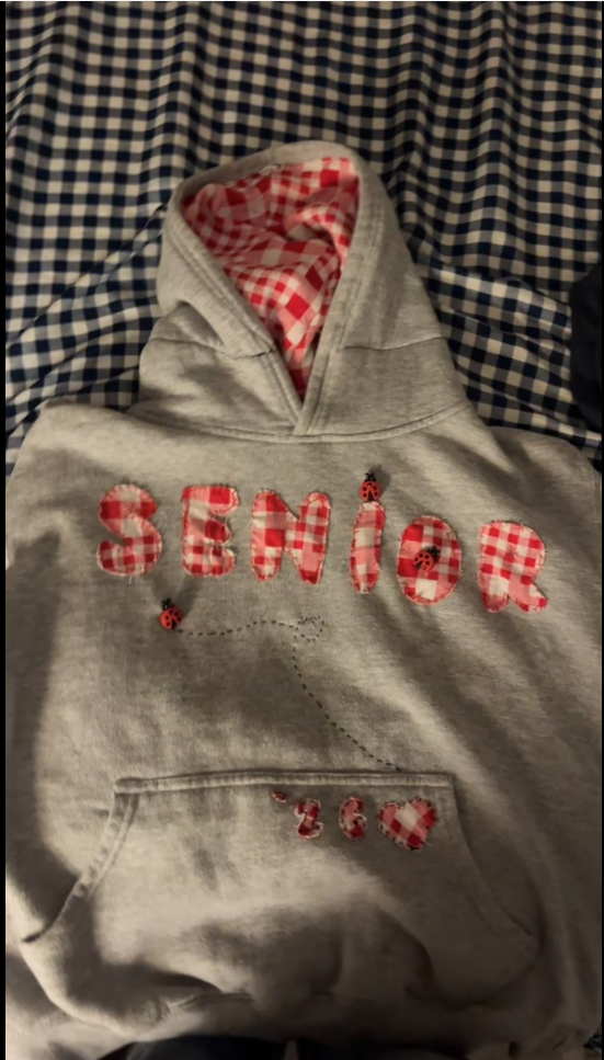 Ladybug Senior Hoodie